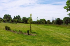 20240620_140146