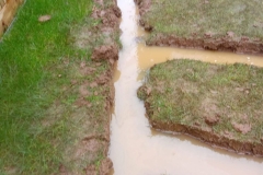 IMG-20240419-WA0037