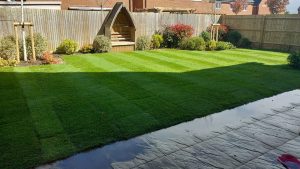 From Waterlogged to Wonder!