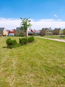 Wasteland to Public Haven